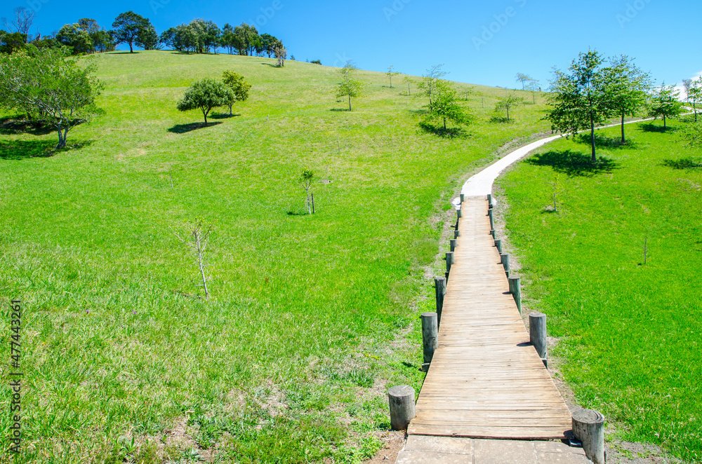 Narrow timber boardwalk into a green field on the hill. Narrow timber boardwalk into a green field on the hill.