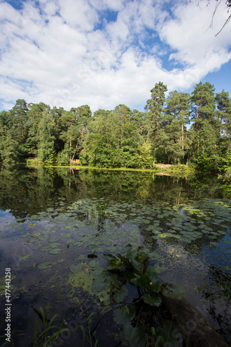 Photography foliage, leaves, wallpaper, reflection, reflected, lake, crack, pond, surface, w