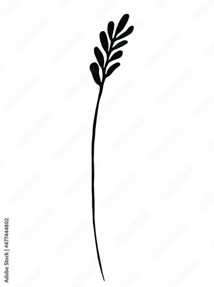 Black herb. Vector clipart. Hand drawn Black herb. Vector clipart. Hand drawn