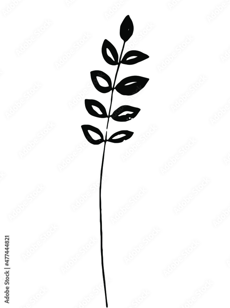 Black herb. Vector clipart. Hand drawn Black herb. Vector clipart. Hand drawn