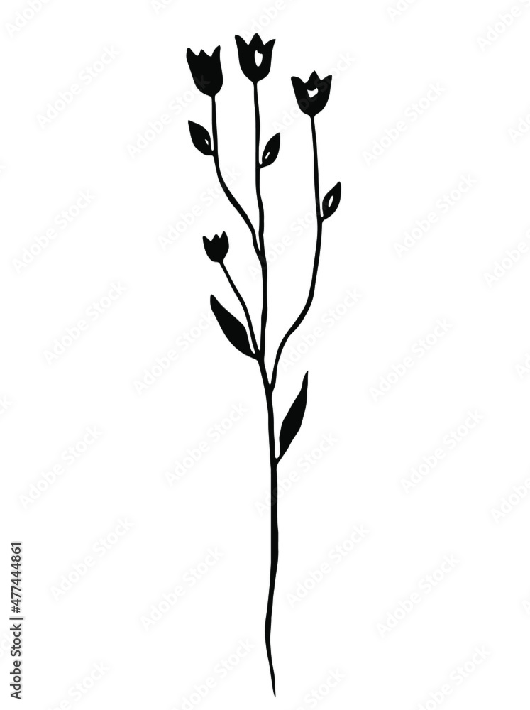 Black herb. Vector clipart. Hand drawn Black herb. Vector clipart. Hand drawn