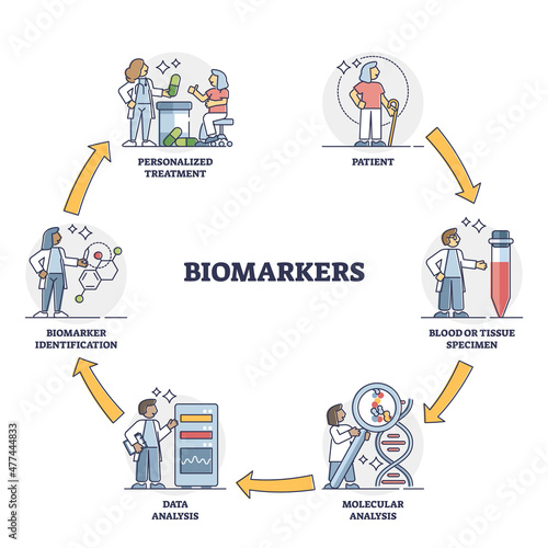 Biomarkers process cycle explanation for patient healthcare outline diagram. Labeled educational blood or tissue specimen testing steps with identification and personal treatment vector illustration. photo