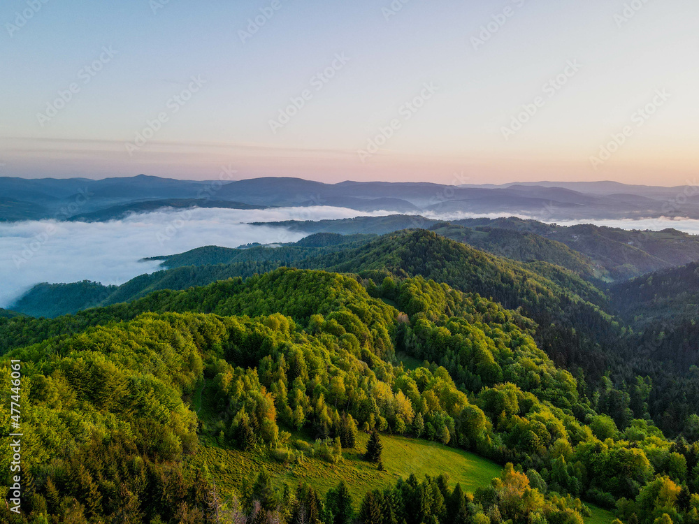 Naklejka premium przyroda