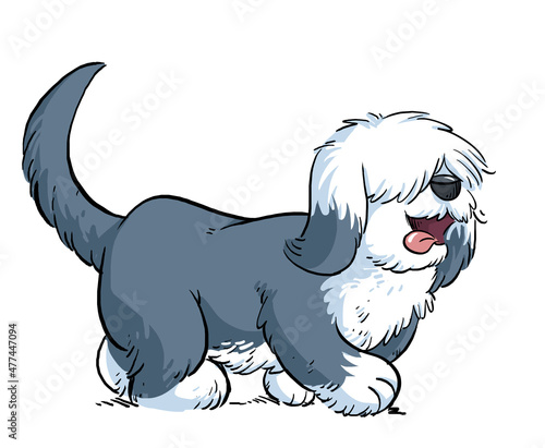 English sheepdog illustration photo