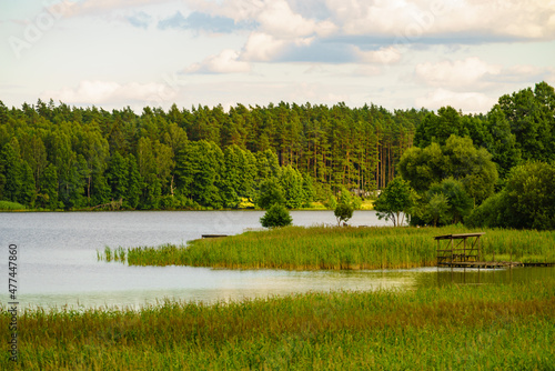 Fototapeta Naklejka Na Ścianę i Meble -  Lake with green reeds on Masuria, Poland