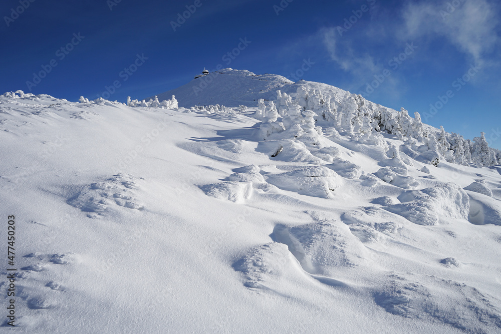 Beautiful Snezka Mountain during winter sunny day and blu sky, snow on ridge, Krkonose Giant Mountains, Czech Republic Beautiful Snezka Mountain during winter sunny day and blu sky, snow on ridge, Krkonose Giant Mountains, Czech Republic