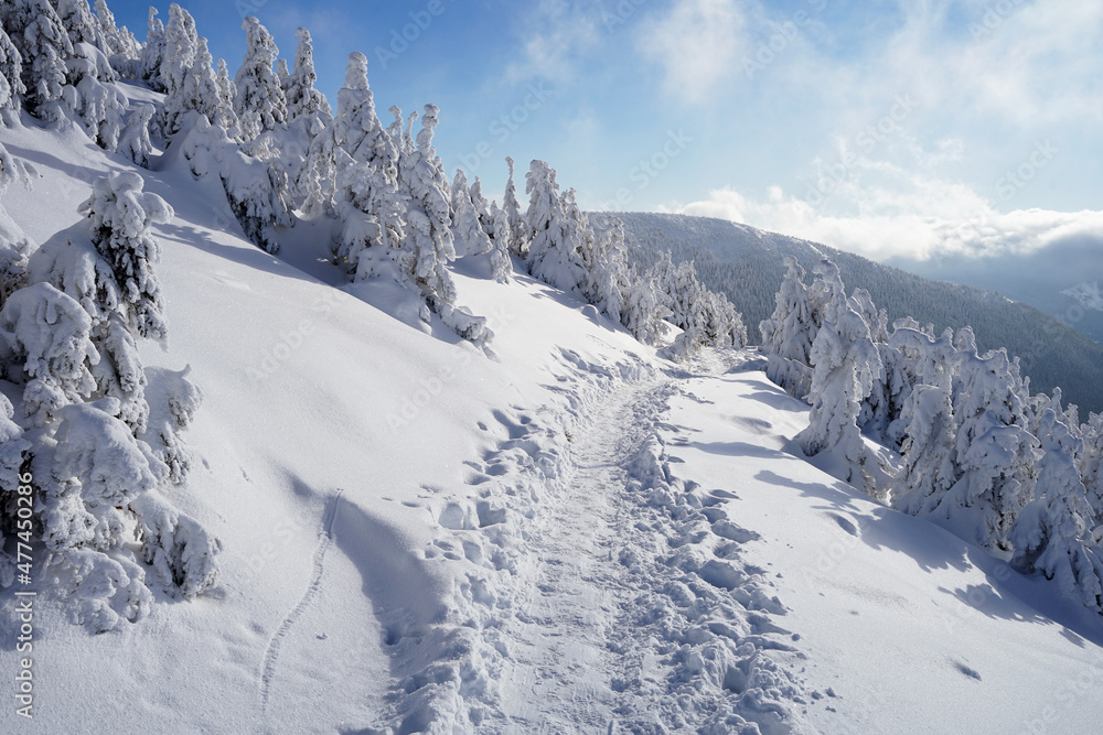 Winter hiking trail in deep snow in beautiful mountain enviroment of Krkonose Giant Mountains, popular hiking and ski mountaineering spot, Czech Republic