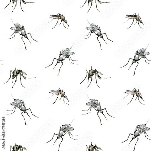 Watercolor seamless pattern with mosquito, pastel color sketch isolated on a white background. Elegant insects drawn by hand with ink. © Daria