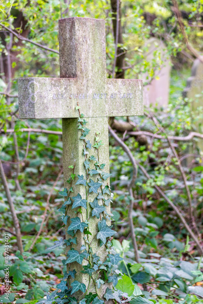 A cross covered in ivy at New Southgate Cemetery, London, UK.