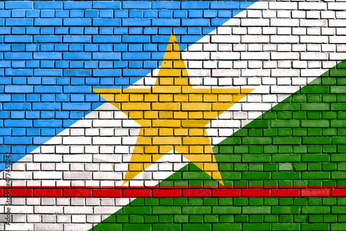 flag of State of Roraima, Brazil painted on brick wall