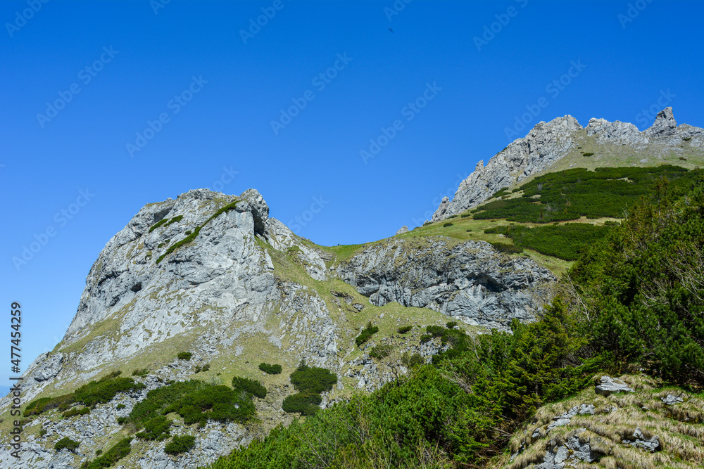 Obraz premium podróż