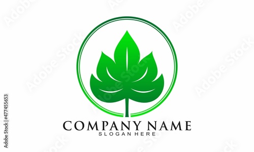 Elegant fresh hibiscus leaf vector logo