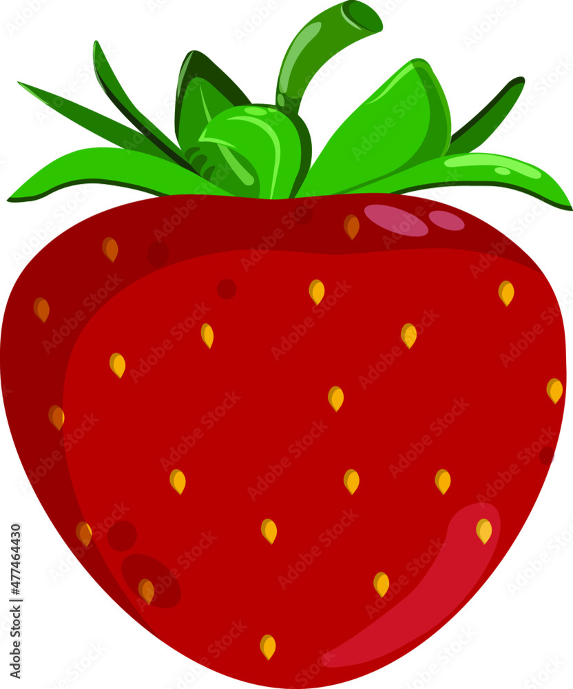 Obraz premium Red ripe strawberry on a white background
