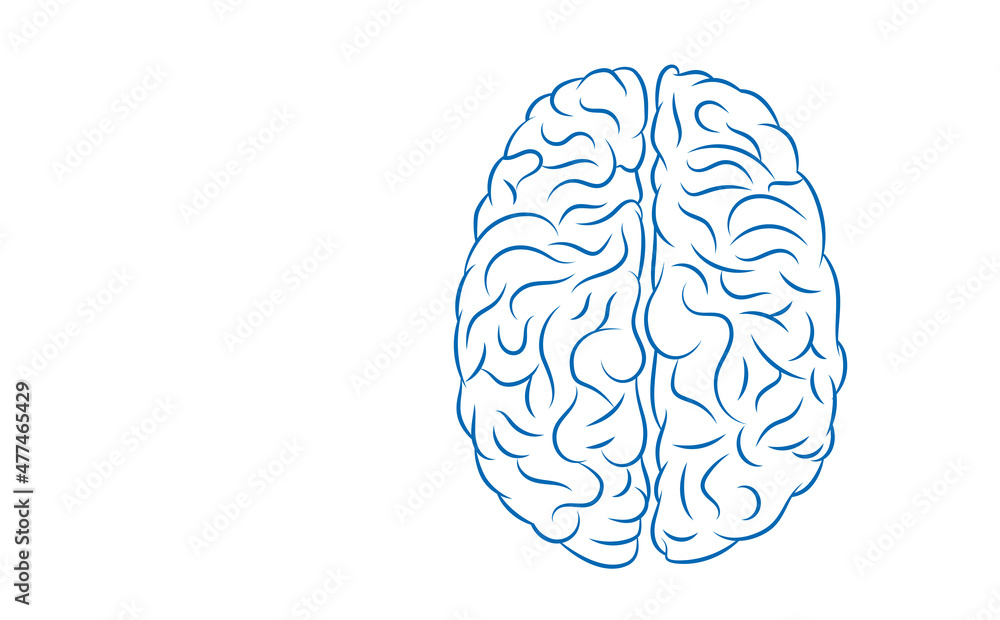 icona, testa, cervello, mente, neuroni icona, testa, cervello, mente, neuroni