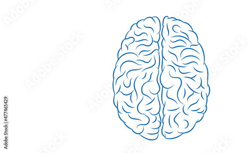 icona, testa, cervello, mente, neuroni