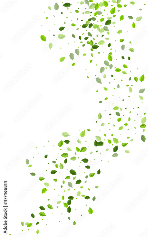 Green Greens Ecology Vector White Background. Green Greens Ecology Vector White Background.