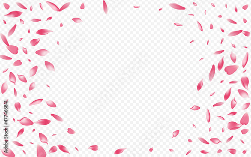 Bright Flower Vector Transparent Background.