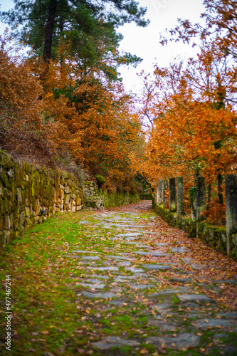 Path to the Castelo de Monterrei