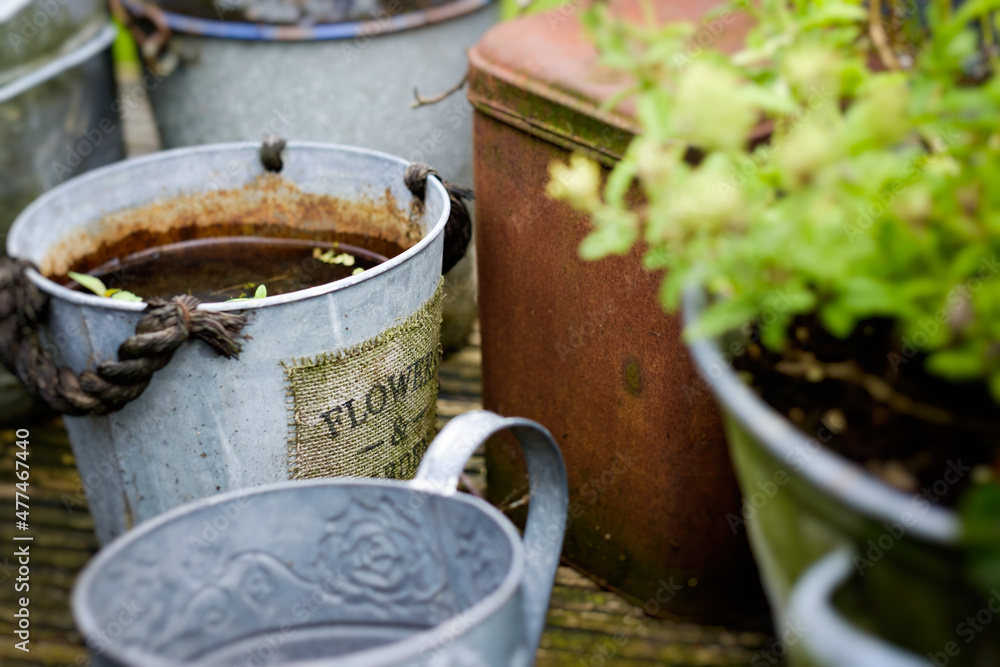 Old buckets and cans in garden