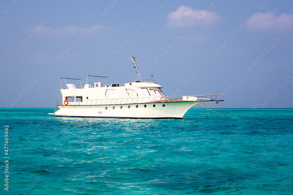 Yatch Yatch