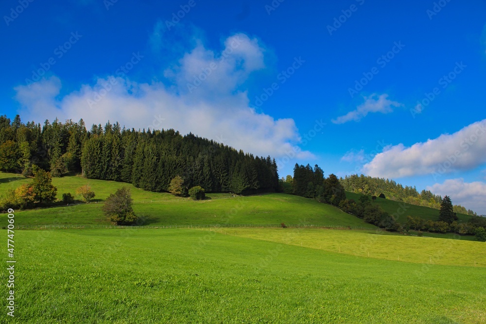 Beautiful green landscape in the German Allgäu mountains Beautiful green landscape in the German Allgäu mountains