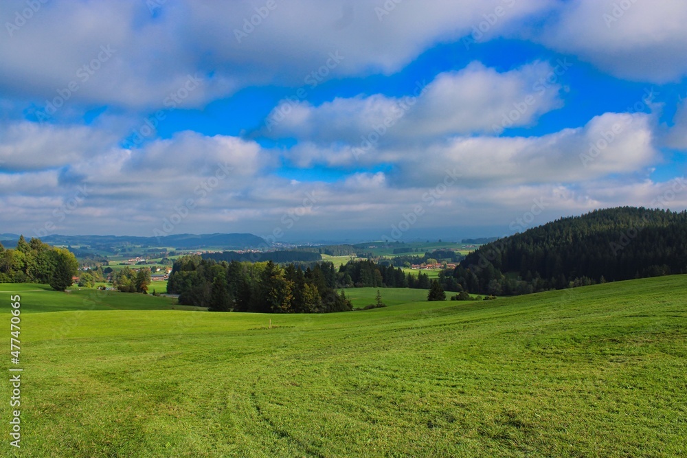 Beautiful green landscape in the German Allgäu mountains