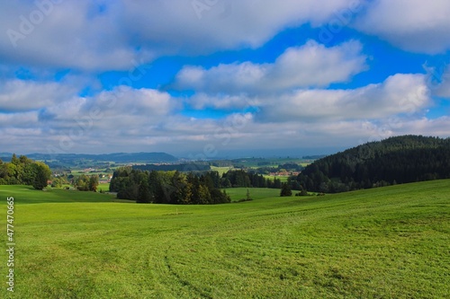 Beautiful green landscape in the German Allg  u mountains