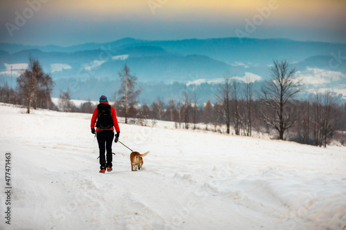 winter mountain trekking with dog
