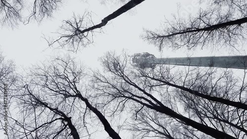 View from below on a pole with repeaters and transmitters of cellular communication among trees in a gloomy forest in cloudy weather, black branches of trees against the background of a grey sky photo