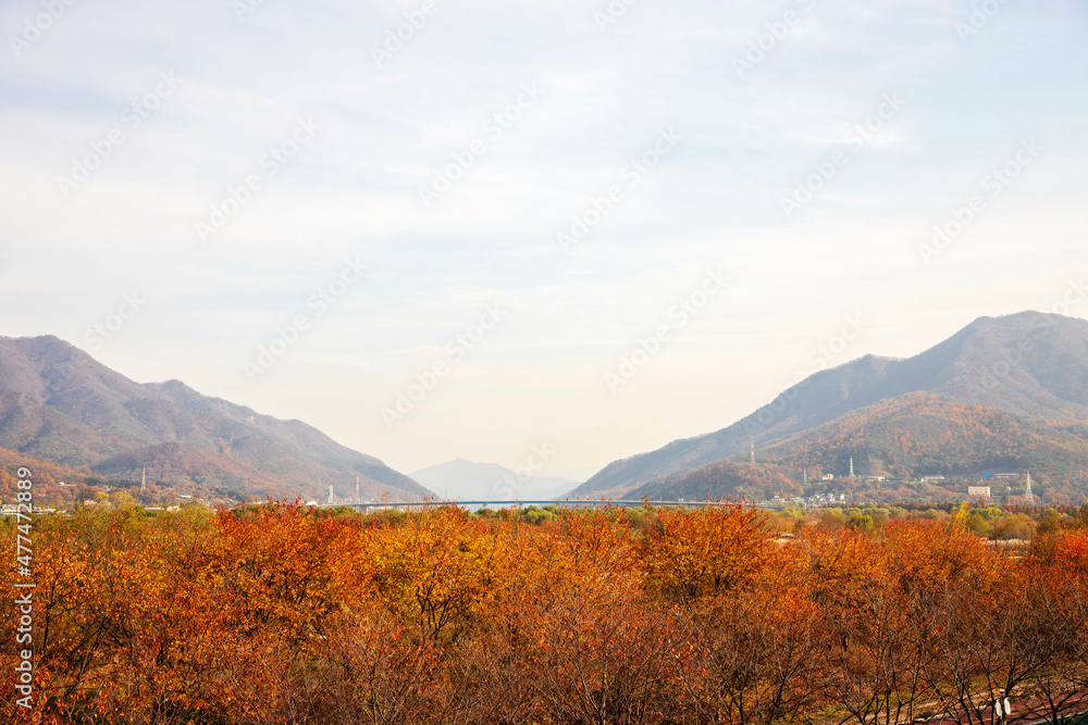 Naklejka premium 가을 산