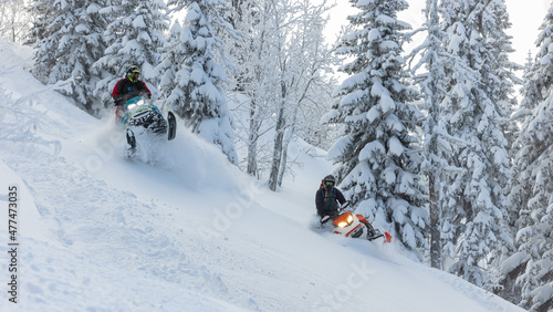 snowmobile. extreme riding on mountain snowmobiles over rough terrain. two snowmobilers are riding high in the mountains after a big snowfall between the Christmas trees. very high quality photos
