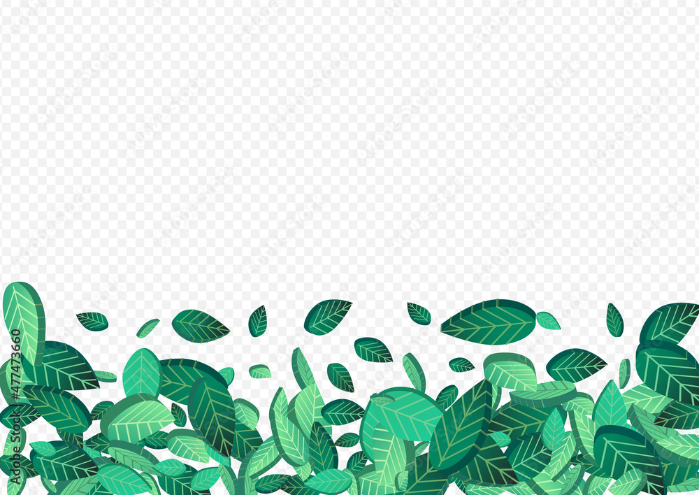 Lime Leaves Motion Vector Transparent Background Lime Leaves Motion Vector Transparent Background