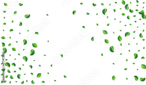 Green Greens Ecology Vector White Background.