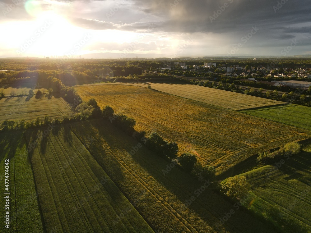 Fototapeta premium z drona