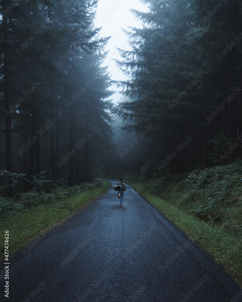 Moody and foggy forest / Brouillard en forêt sombre Moody and foggy forest / Brouillard en forêt sombre