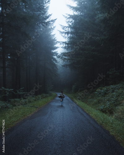 Moody and foggy forest / Brouillard en forêt sombre