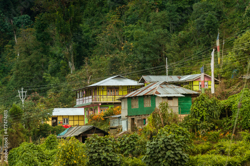 Houses with flowers and plants, Silerygaon Village, Sikkim