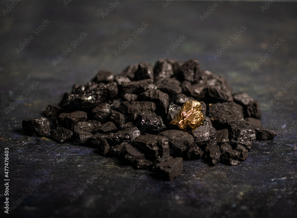 hard coal in the pile. a piece of gold among the coal. extracted underground. hard coal in the pile. a piece of gold among the coal. extracted underground.