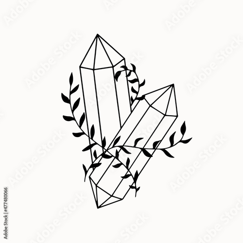 Line art of mystical esoteric crystals with plant vine