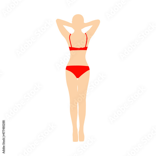 Beautiful girl model lingerie posing standing vector
