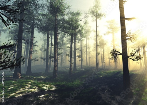 Winter forest in the rays of the sun  morning in the forest  3d rendering