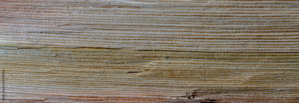 natural torn pine wood texture. Old dry wood background natural torn pine wood texture. Old dry wood background