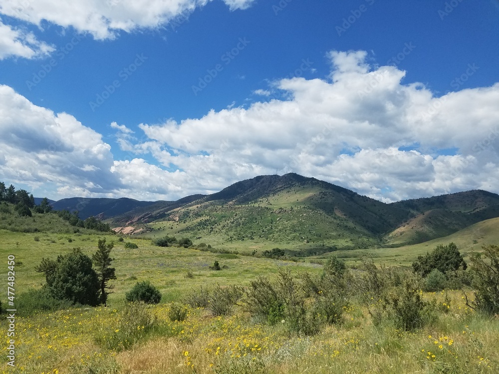 Fototapeta premium Mountain meadow