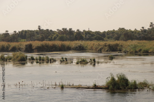 landscape on the bank river of the nile