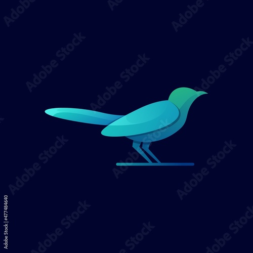 Bird modern colorful gradient vector illustration