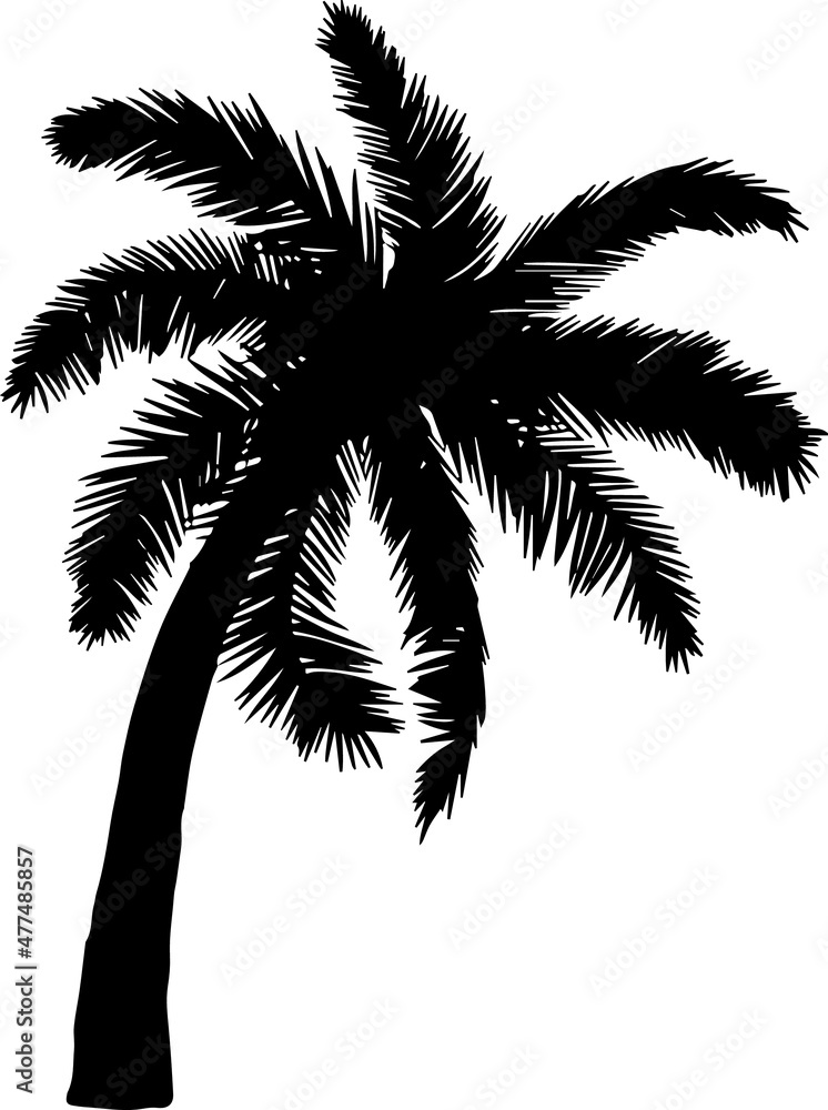 Palm Tree Silhouettes Palm Tree SVG EPS PNG