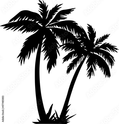 Palm Tree Silhouettes Palm Tree SVG EPS PNG photo