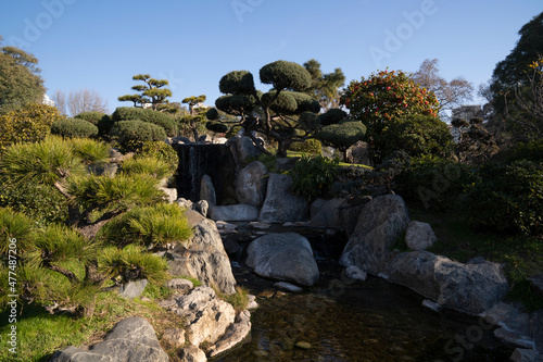 Landscaping. Japanese garden design An artificial cascade and stream flowing across the rocks. Pinus thunbergii and Pinus densiflora, are some of the plant species in the park.