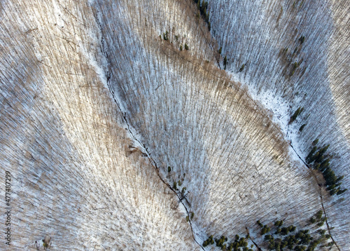 landscape with the Calimani mountains seen from above in winter photo