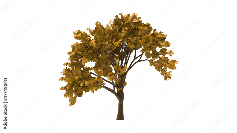 oak tree autum without shadow 3d render